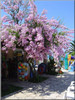 Zomerdag op Corfu.............